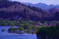晩春・白川湖②