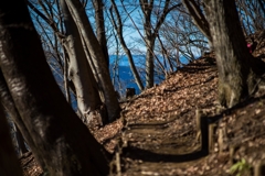 土山峠登山道