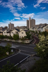 南大沢・遠景