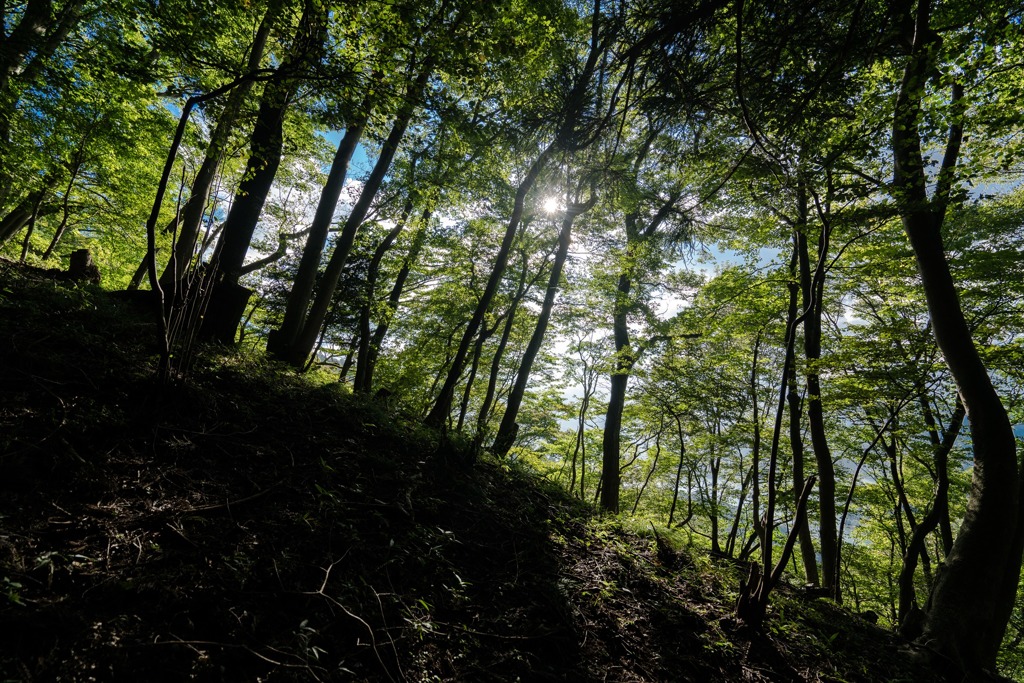高取山登山道④