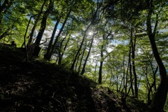 高取山登山道④