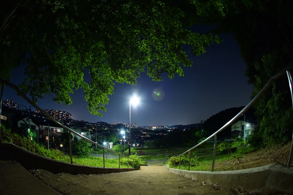 夜の散歩①