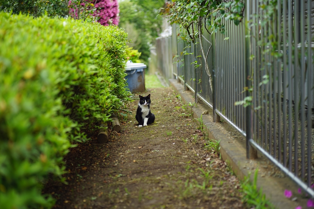 路地裏にて