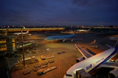 羽田空港④