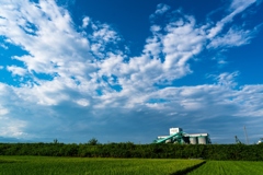 大雄山線・沿線①