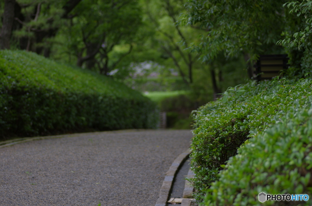 大人の砂利道