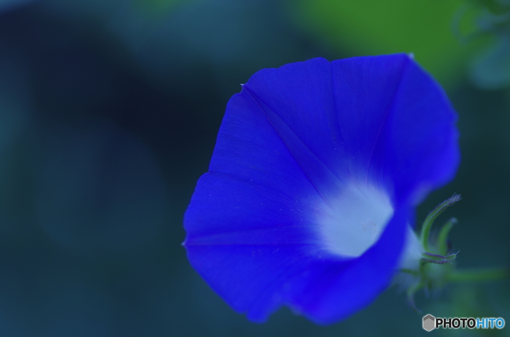 和