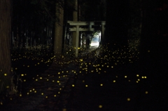 姫の社　1