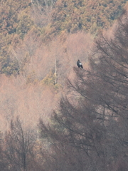 グルの住む街　2