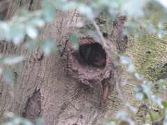 秋の風