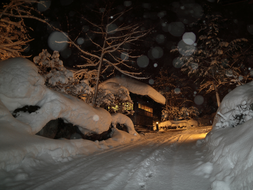 奥飛騨の夜