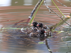 ただ今建築中。