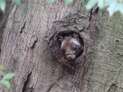 ずいぶん涼しくなったけど