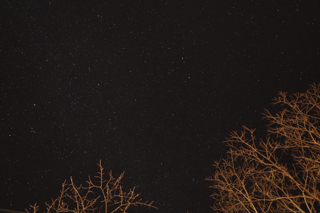 冬の夜空