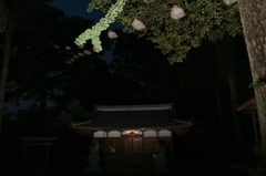 ムササビの棲む神社 2