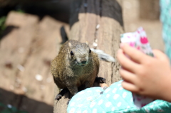 まだ？