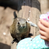 まだ？