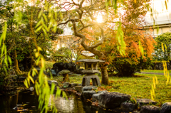 和風庭園