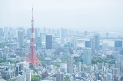 タワー