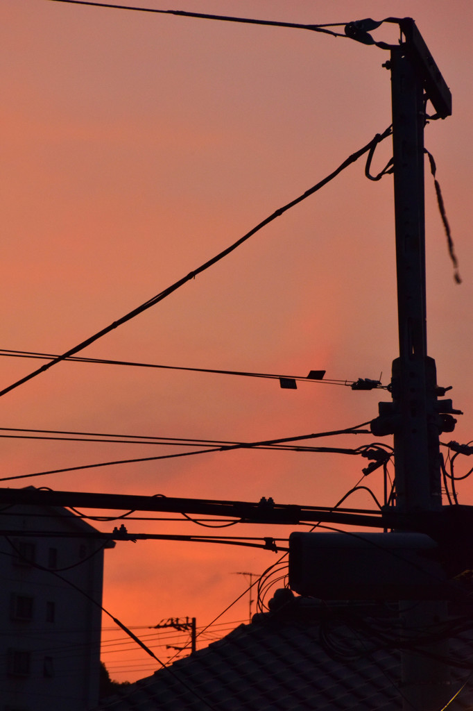 夕暮れ