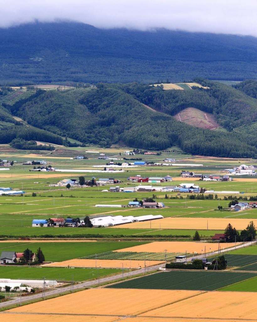 中富良野 