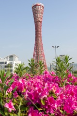 神戸タワー