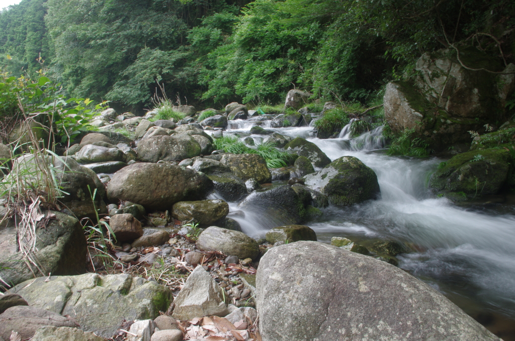 水