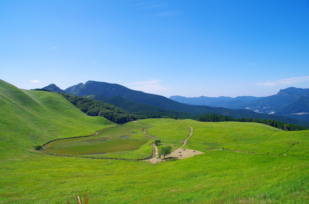 曽爾高原