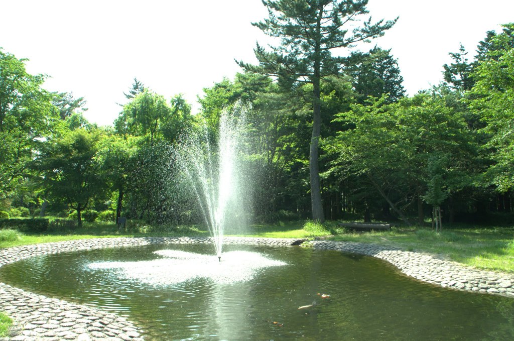 森の中の噴水