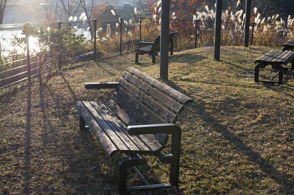 夕方の公園のベンチ