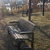 夕方の公園のベンチ