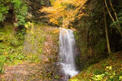 滝と紅葉
