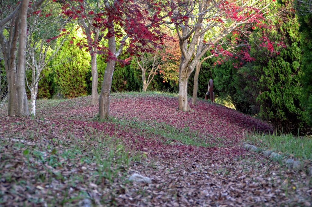 紅葉も終わりの頃