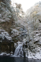 雪の赤目滝