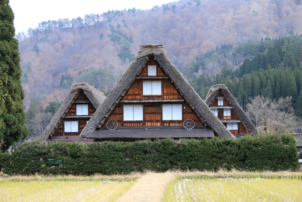 白川郷