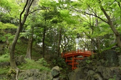 小石川後楽園