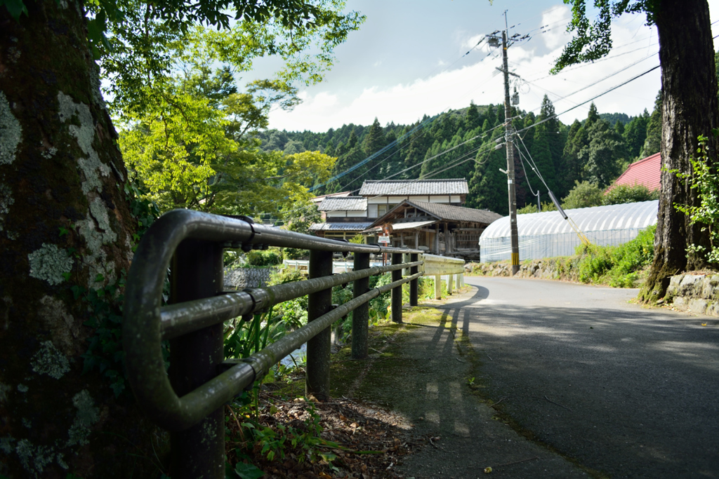 夏のとある景色