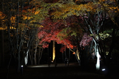 夜のトンネル