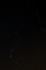 星降る夜に