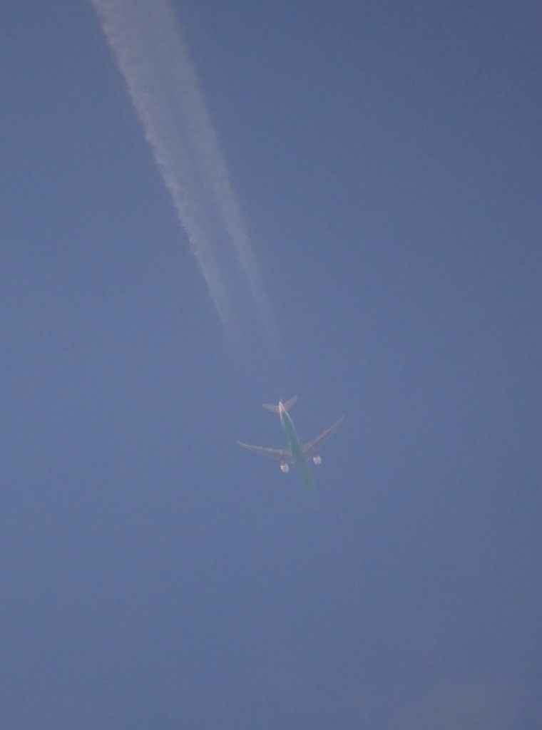 DSC00478 (1)ひこうき雲