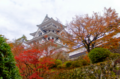 郡上八幡城