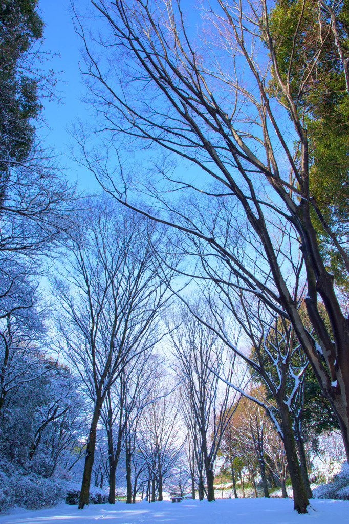 雪国愛知