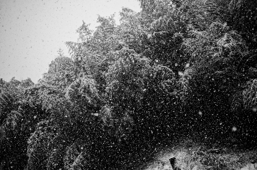 家の外の雪景色_2
