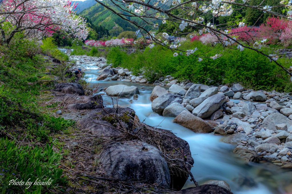 川、彩る。