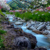 川、彩る。