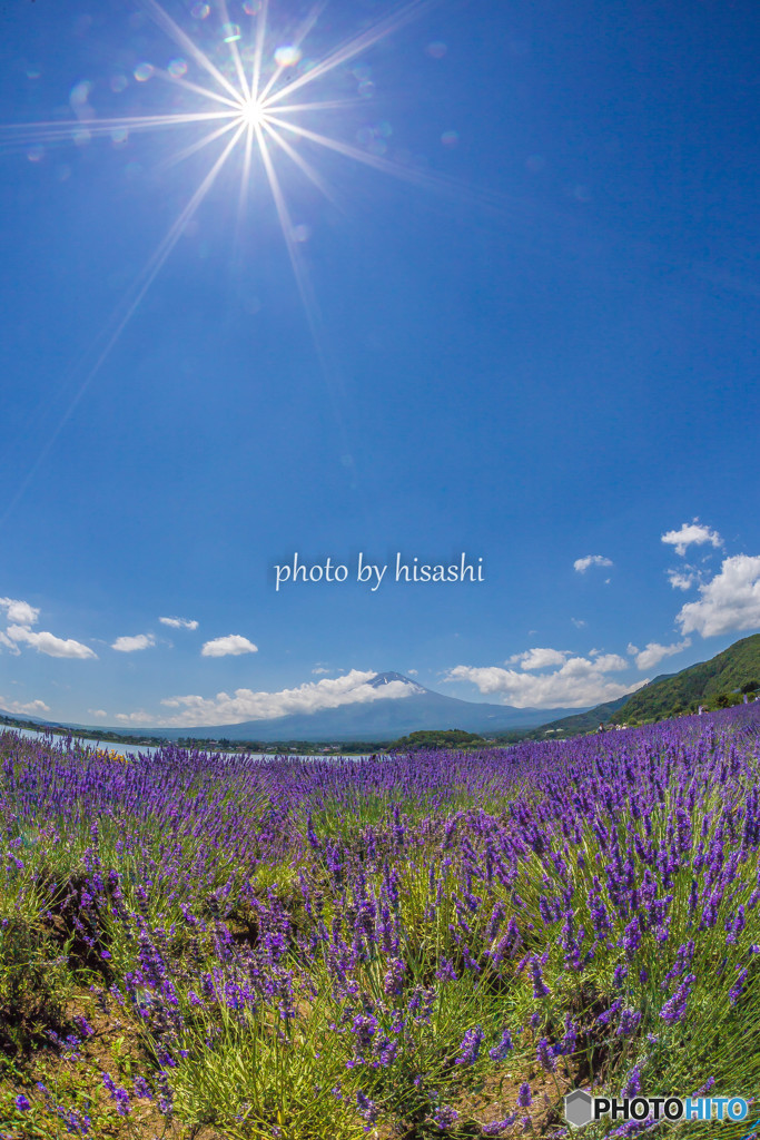 花の薫りに包まれて