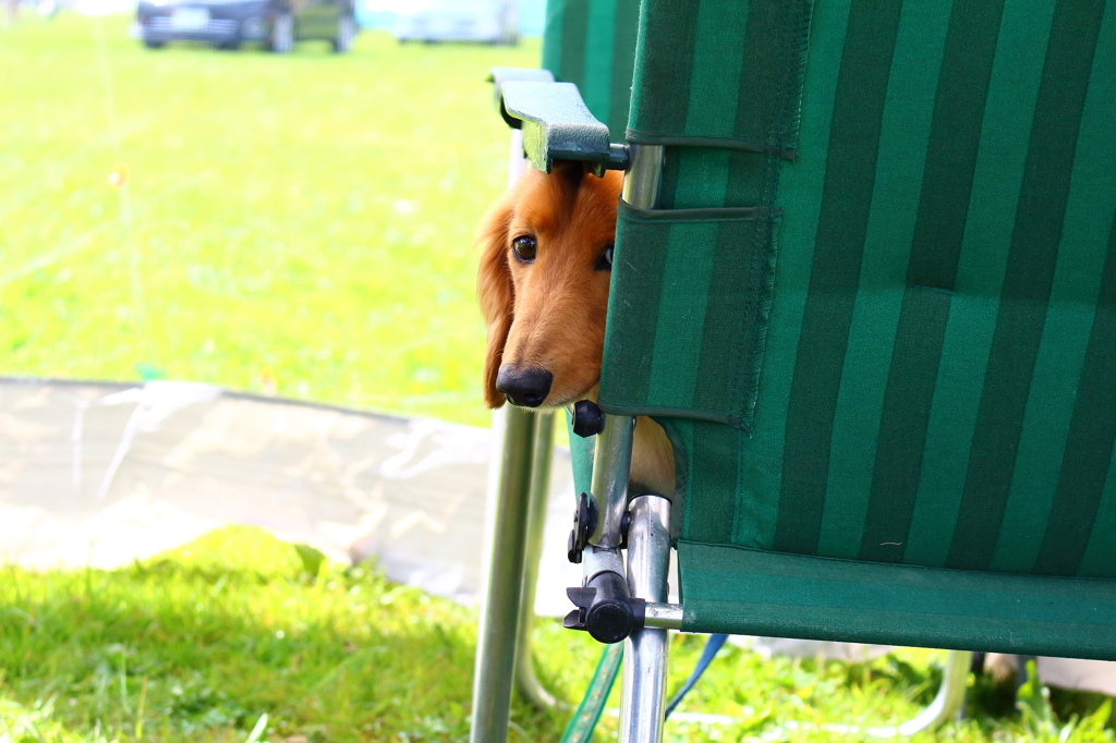 自宅警備員は見た!