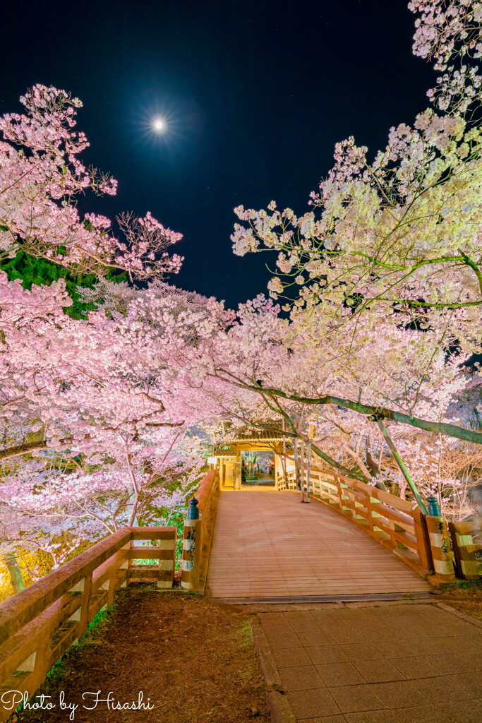 桜雲橋