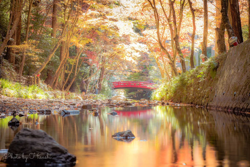 彩の水面