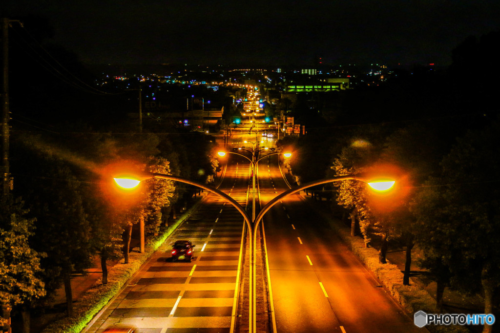 Light  Up